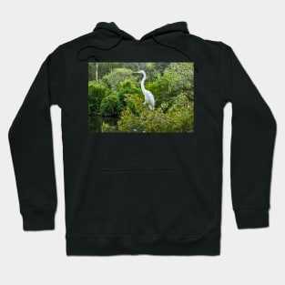 The Kings Great Egret of  Gatorland Hoodie